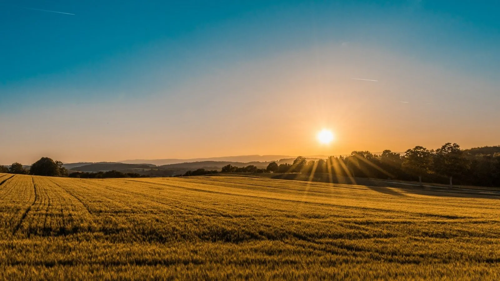 SFI26 and the New Incentive Landscape: Why 2026 Is the Year for Precision Agriculture in the UK