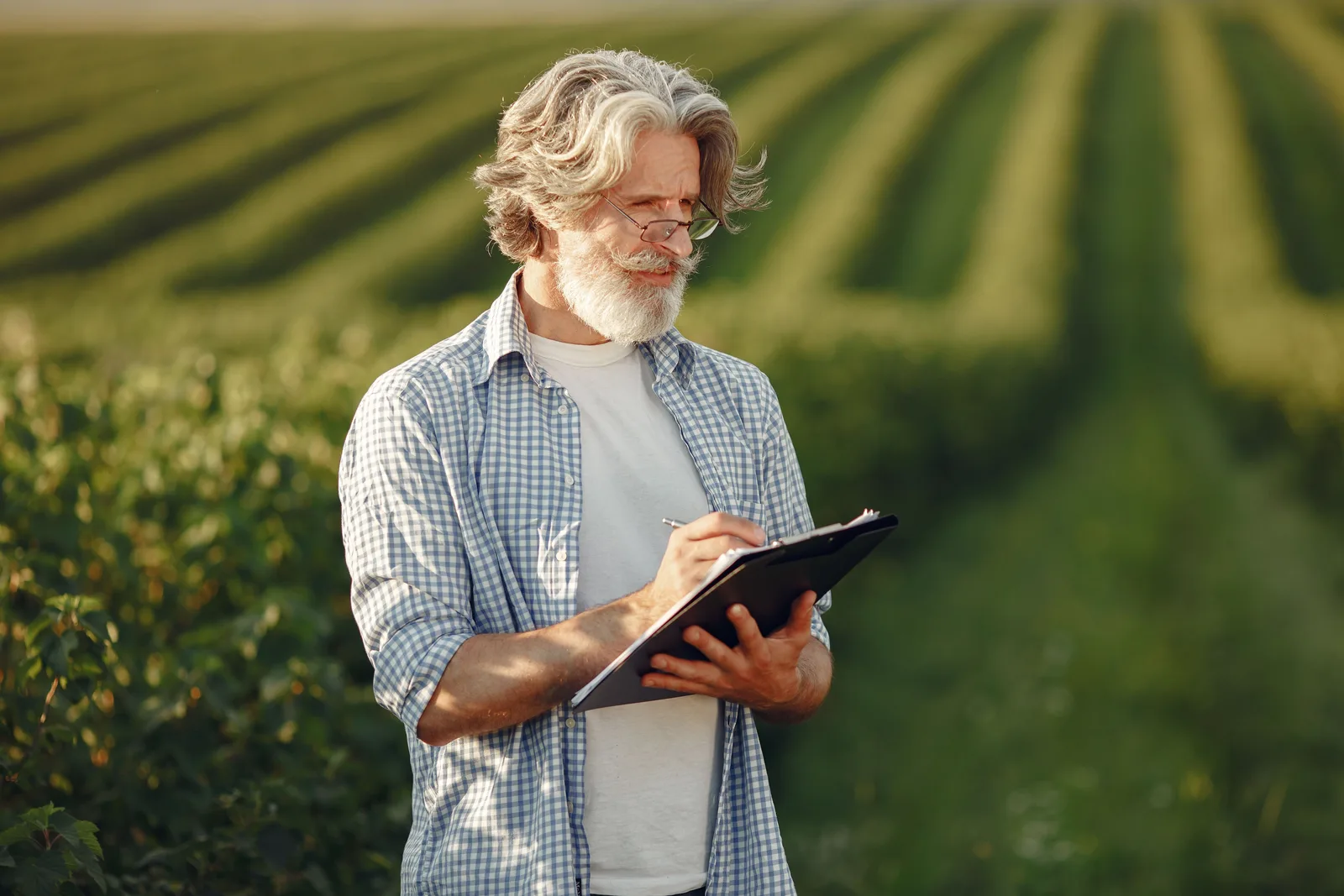 ADOPT is open again: £50,000–£200,000 for a trial you lead on your own farm