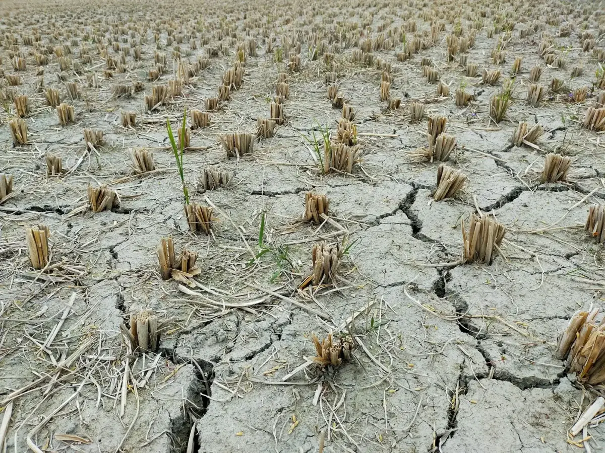 England's dry summer: abstraction restrictions nearly double in a week as reservoirs fall below average