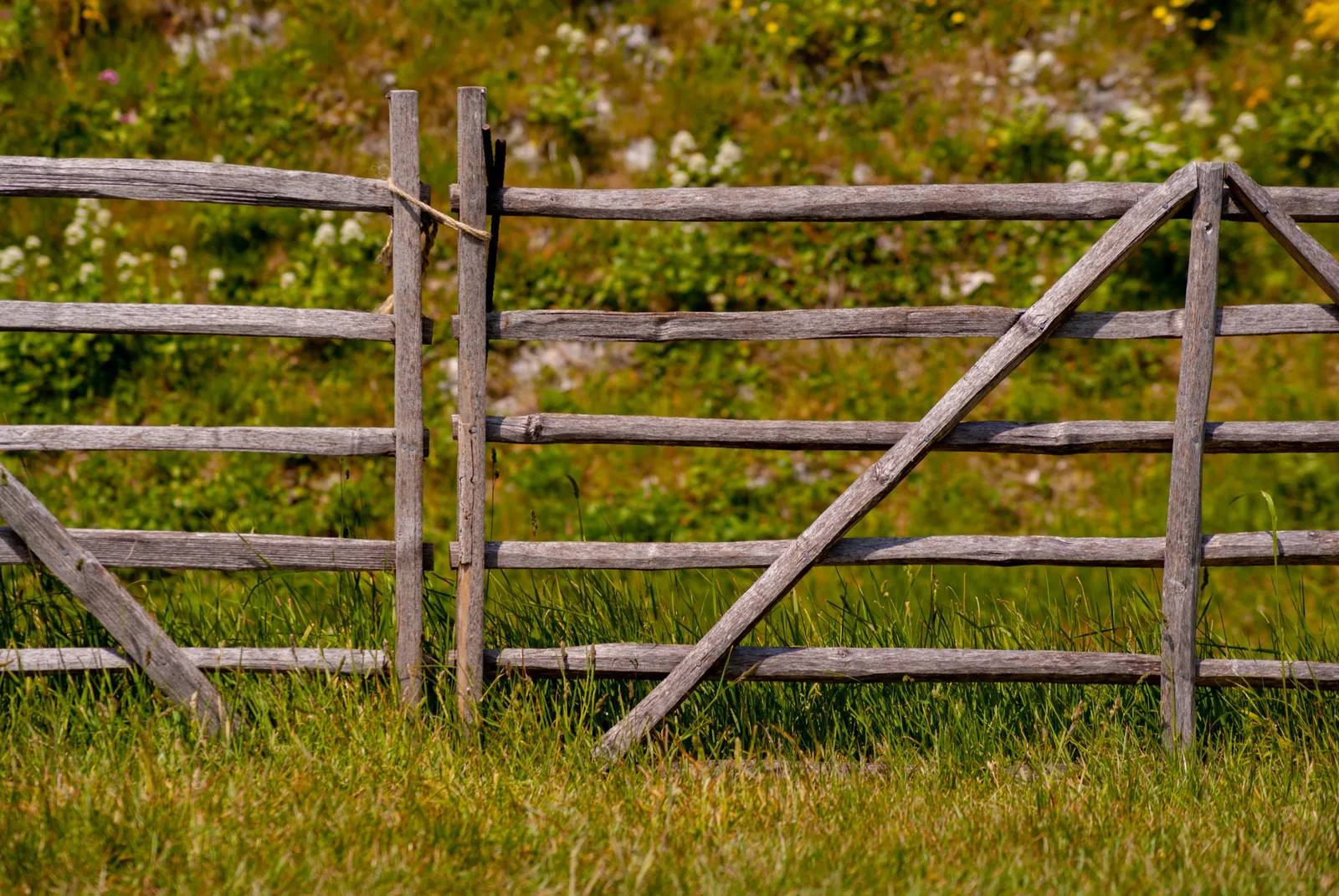 Three farm funding deadlines in eight days — and one closes before the grant it helps you win