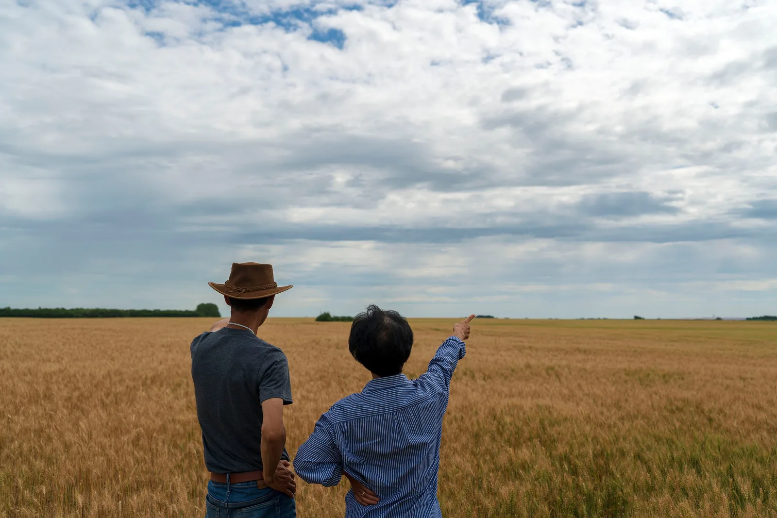 The new £30m Farmer Collaboration Fund: you can't apply for it yourself — but don't write it off yet