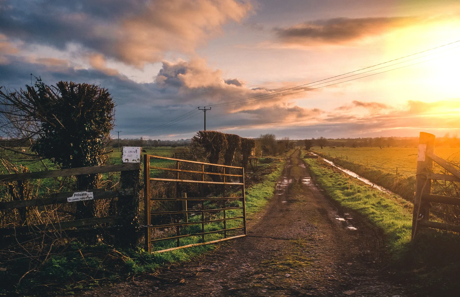 The £1.5m Farmer Welfare Grant closes on 9 September — and you are not the applicant