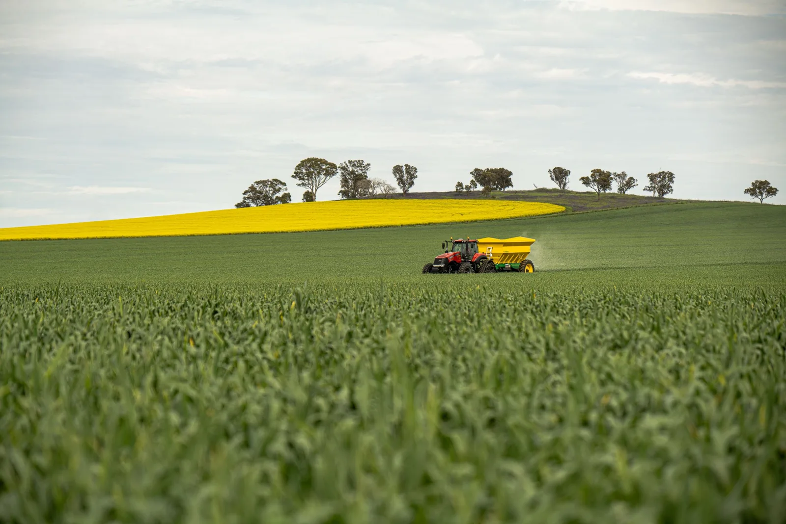 New free tool: fertiliser recommendations for your field — calculated by the official RB209 engine