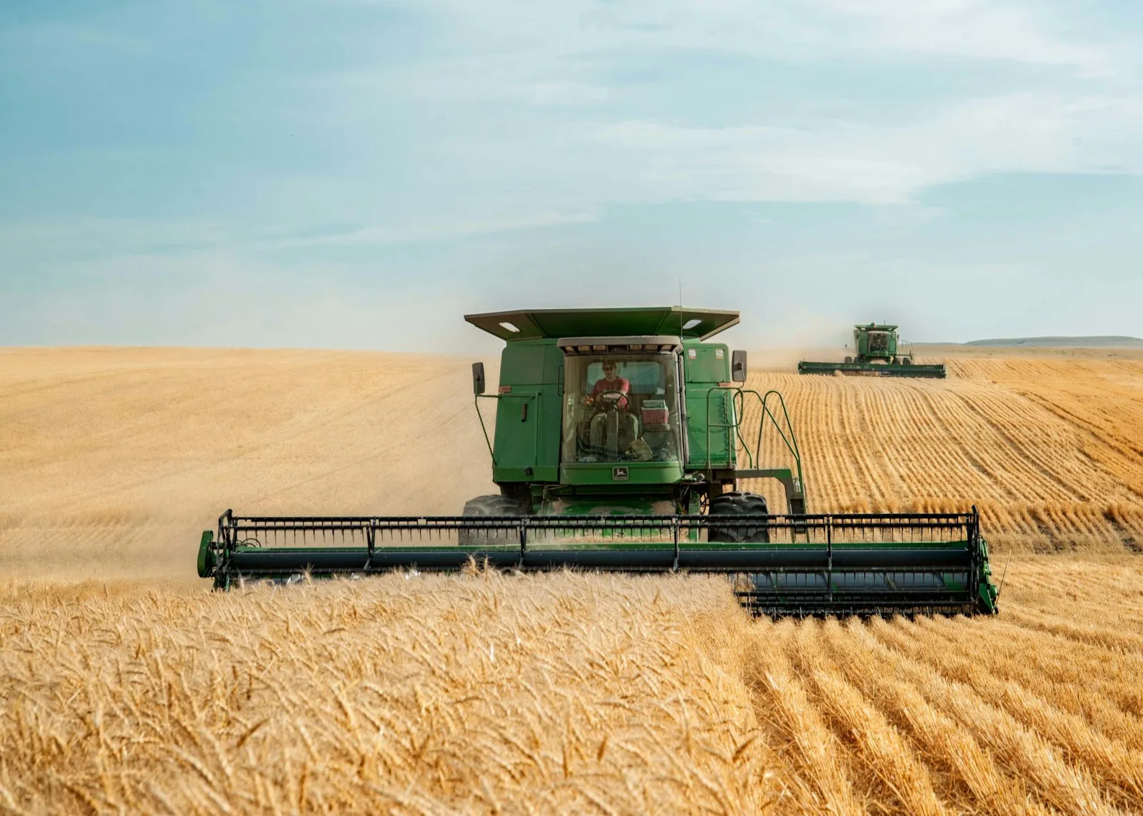 Harvest 2026 first cuts: light land struggles, oilseed rape delivers