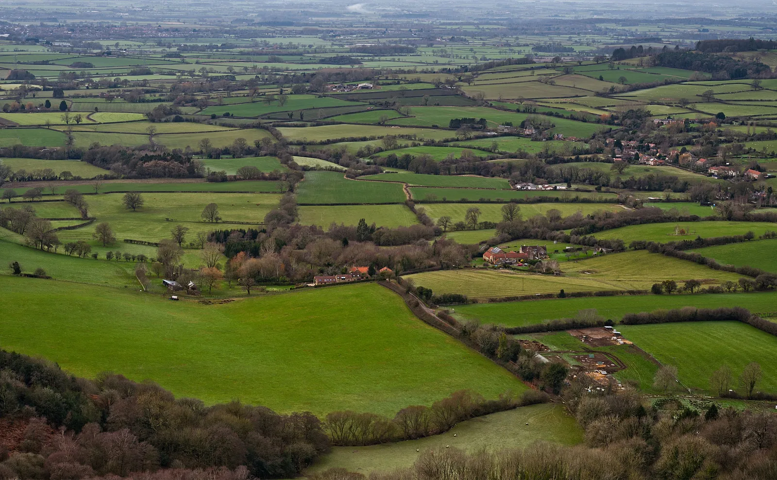 Farm income by region in England: what Defra's 2025 figures show