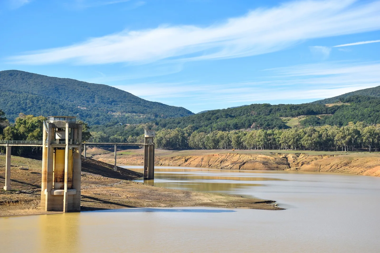 Severe drought declared in six counties: what it changes for farms, and what it does not