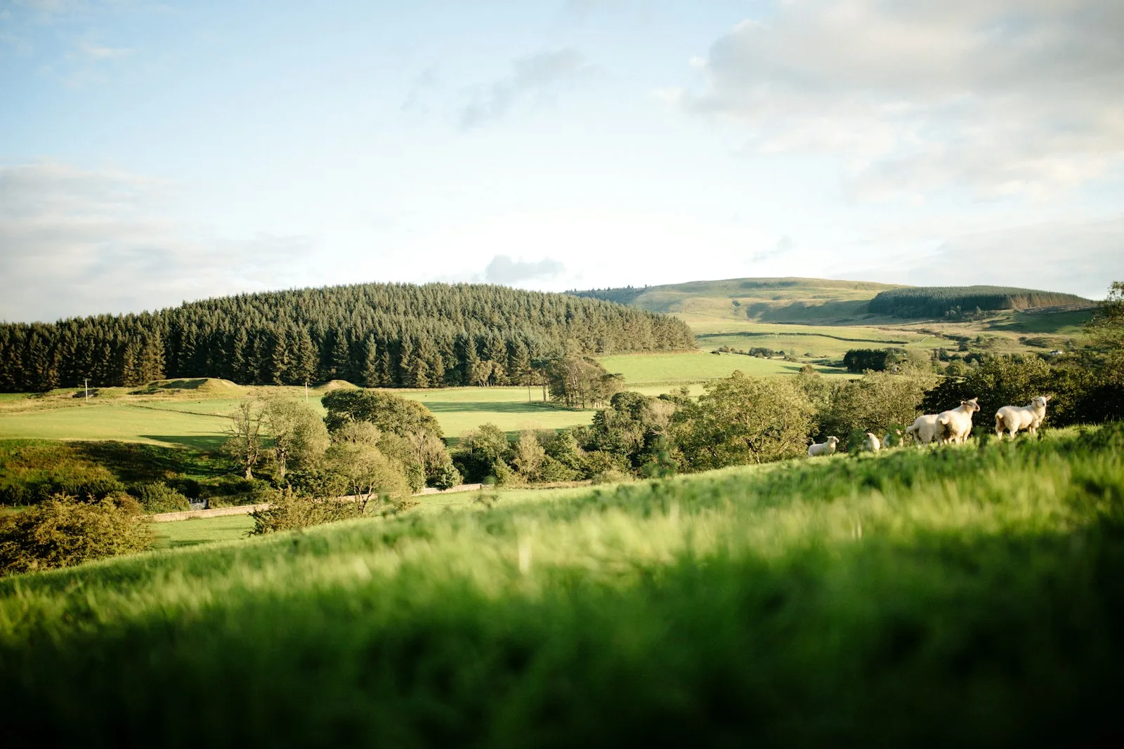 SFI26 Window 1 is open — and a quarter of the £60m was allocated within a day